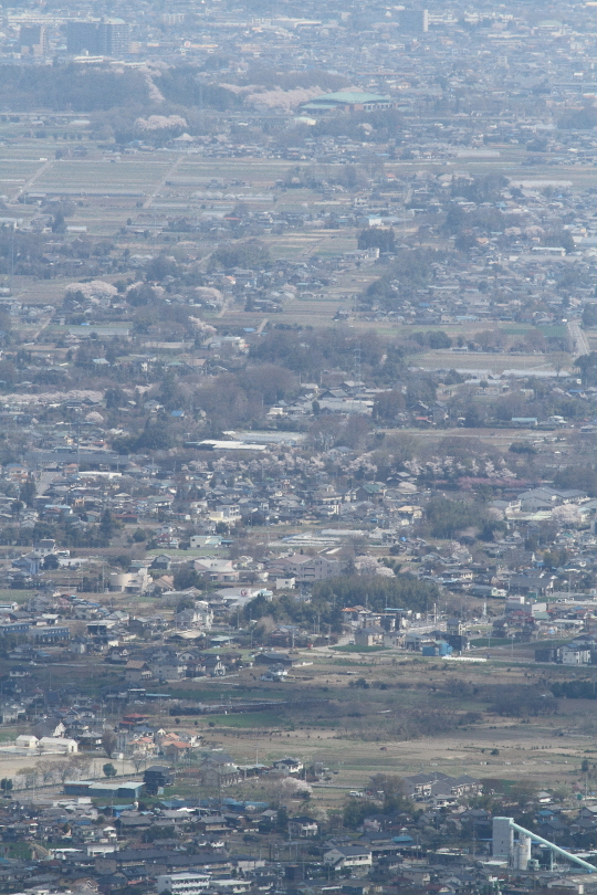 b0190710_0125659.jpg