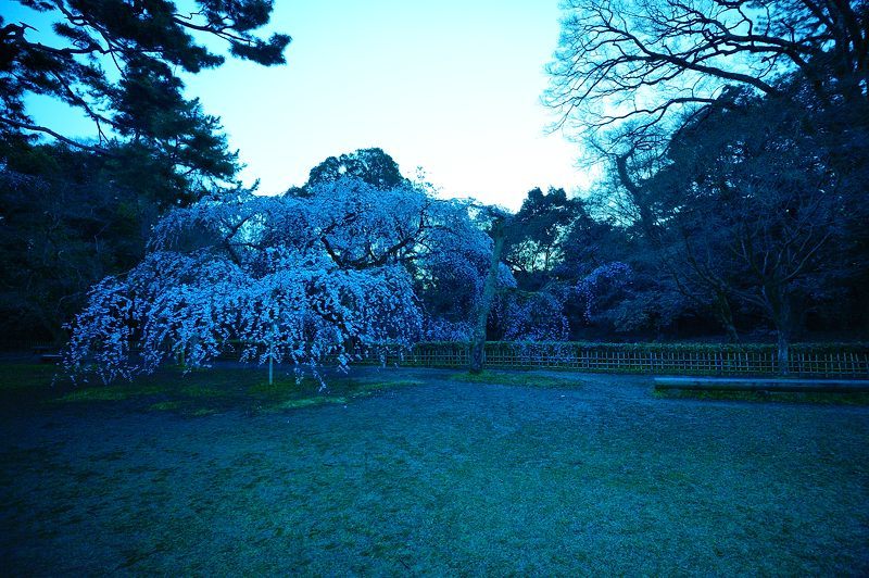 f0032011_22290700.jpg