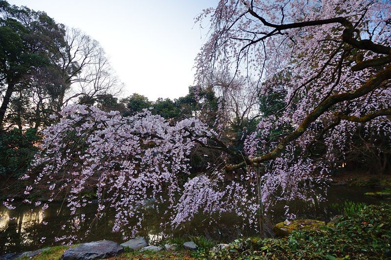 f0032011_22290800.jpg