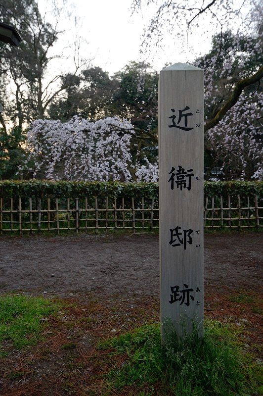 f0032011_22291091.jpg