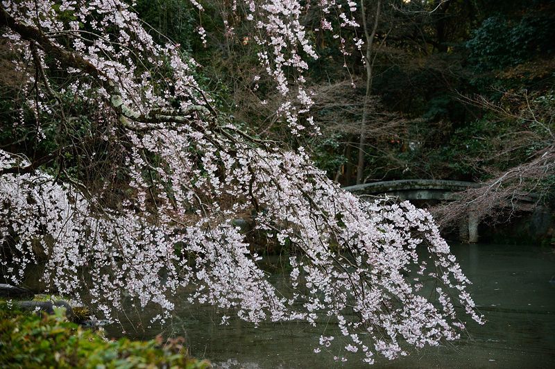 f0032011_22333353.jpg