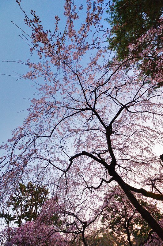 f0032011_22333391.jpg