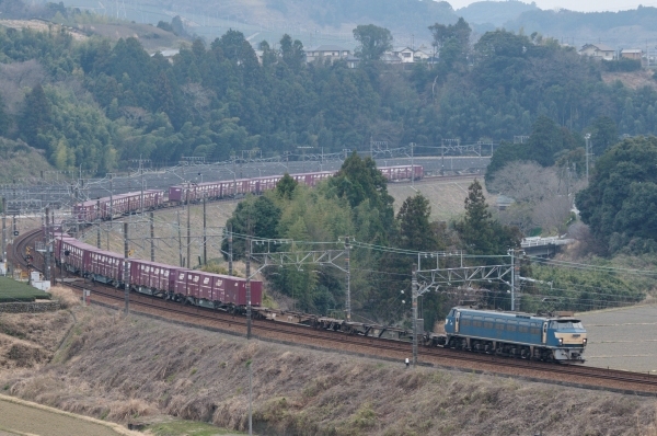 e0005714_20411464.jpg