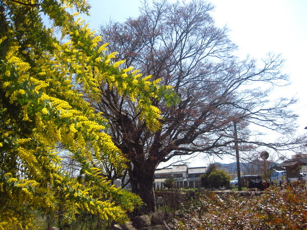 c0352015_22222041.jpg