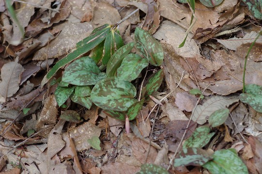 c0152317_21063243.jpg