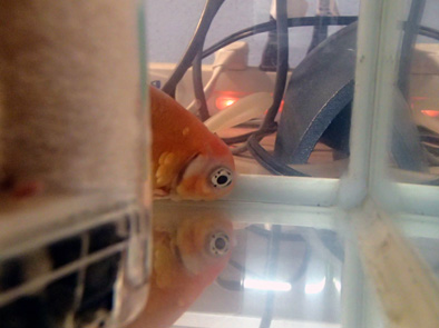 d0212519_21535710.jpg