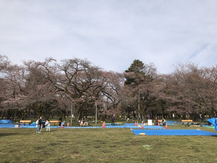 f0234023_18493037.jpg