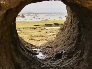c0051529_22481468.jpg