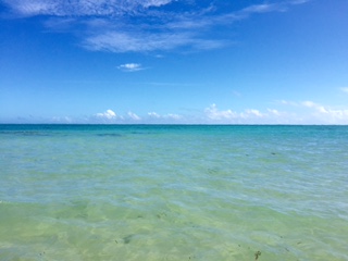 c0051529_23285938.jpg
