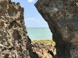 c0051529_23392521.jpg