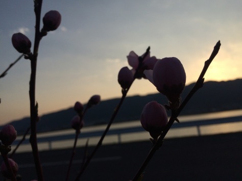 c0077330_14344678.jpg