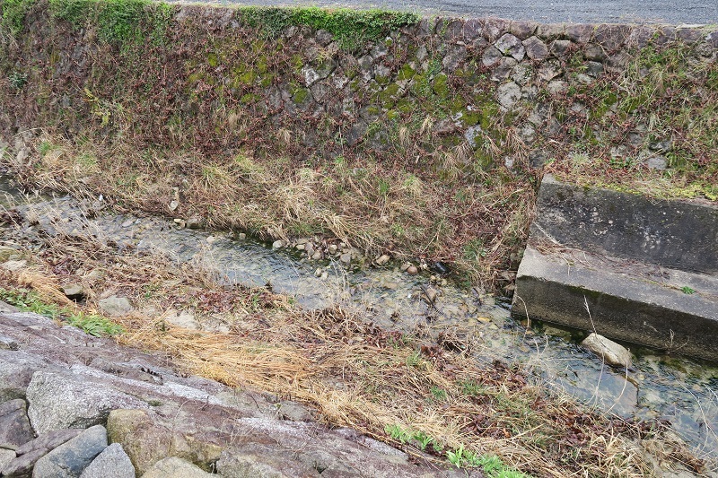 f0076731_15290431.jpg