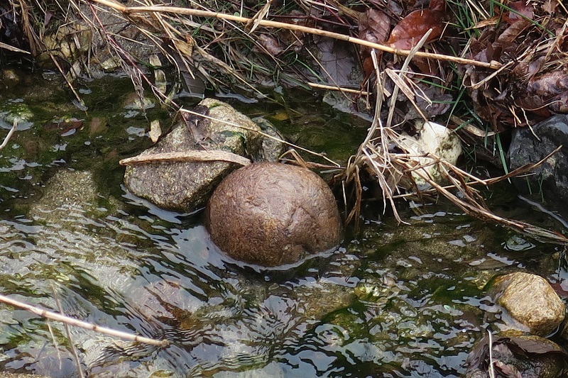 f0076731_15303520.jpg