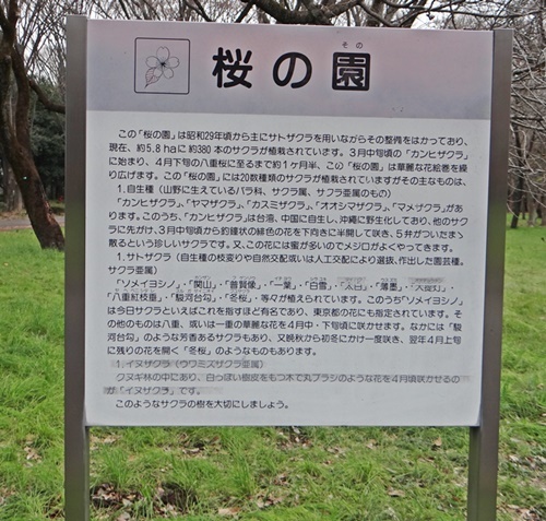 d0037233_14140978.jpg