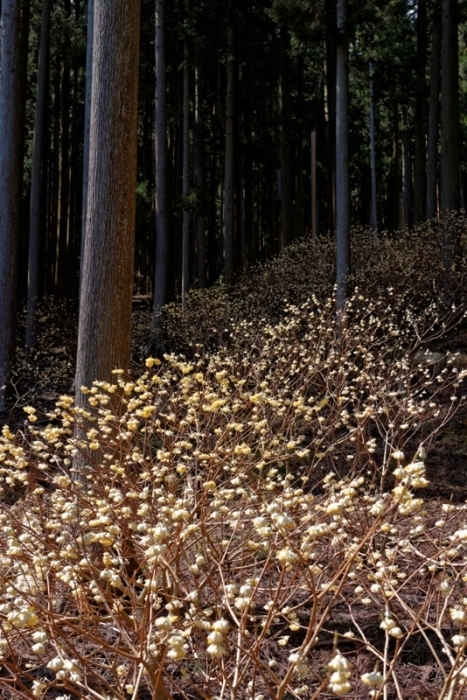 f0274536_00352780.jpg