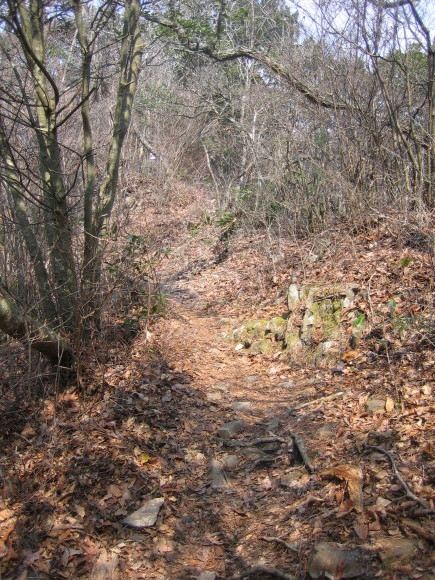 e0376642_18123550.jpg