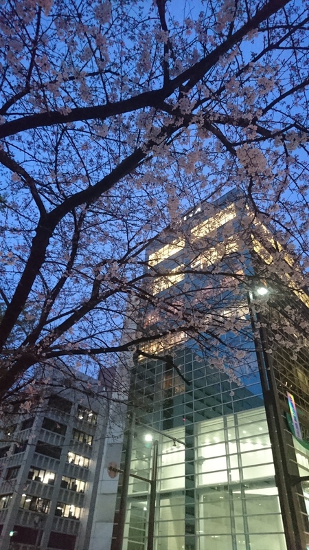 b0028845_21381562.jpg