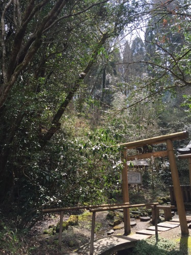 f0318145_20300139.jpeg
