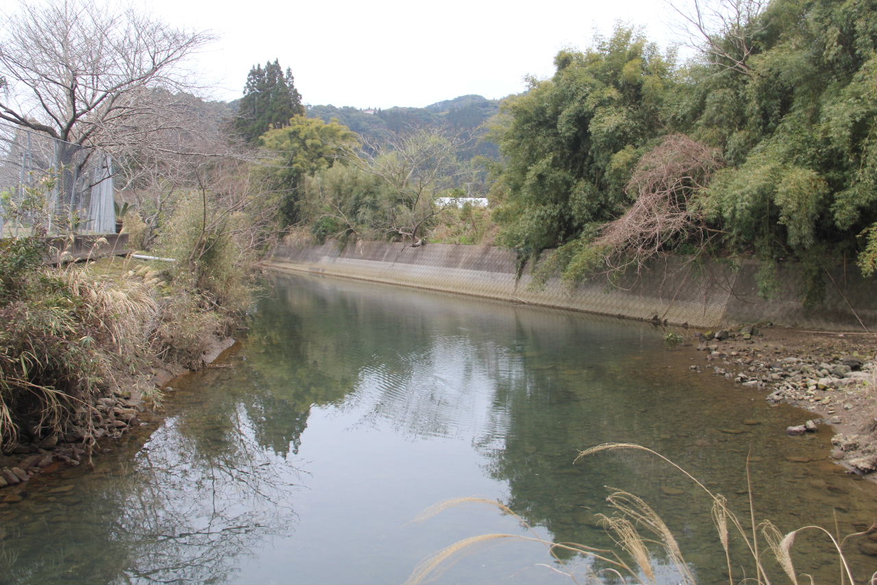 c0011649_515527.jpg