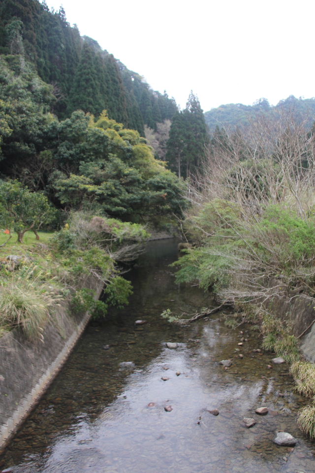 c0011649_526714.jpg