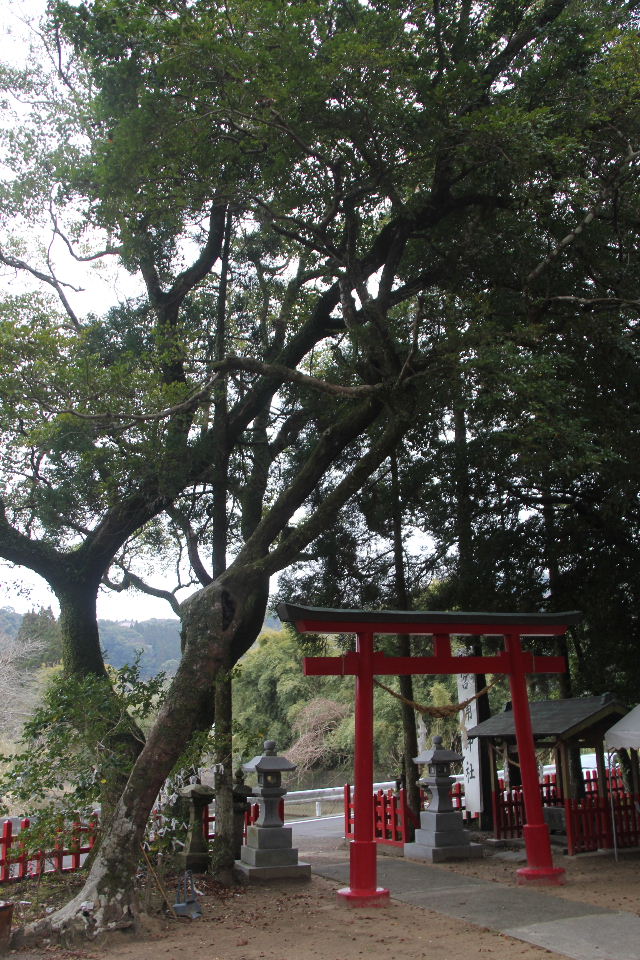 c0011649_5321161.jpg