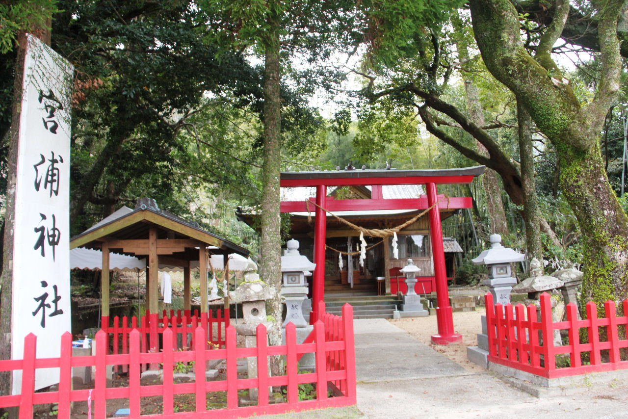 c0011649_59955.jpg