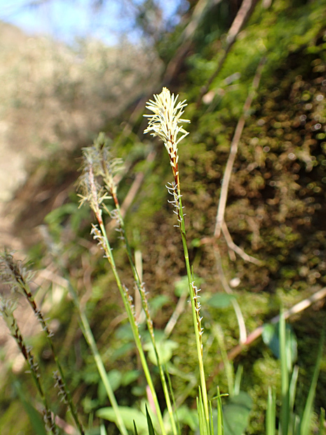 f0214649_21492614.jpg