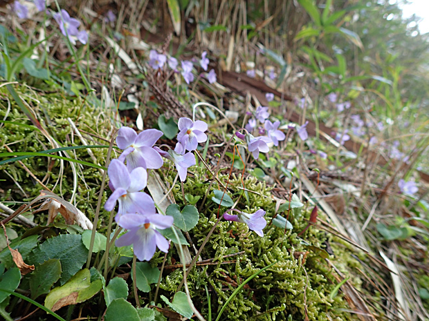 f0214649_21492690.jpg