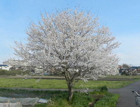 e0172950_2115110.jpg