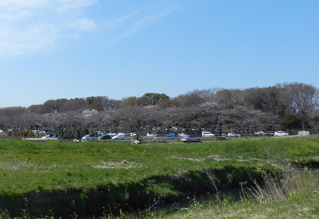e0172950_2175178.jpg