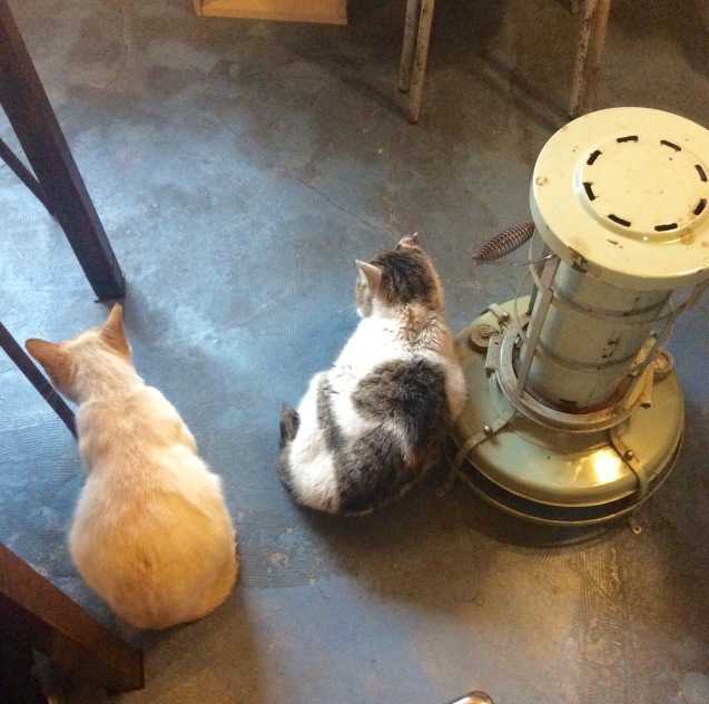 c0340351_16101923.jpeg