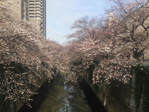 c0339756_16110912.jpg
