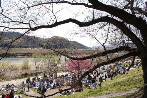 a0023466_21180691.jpg