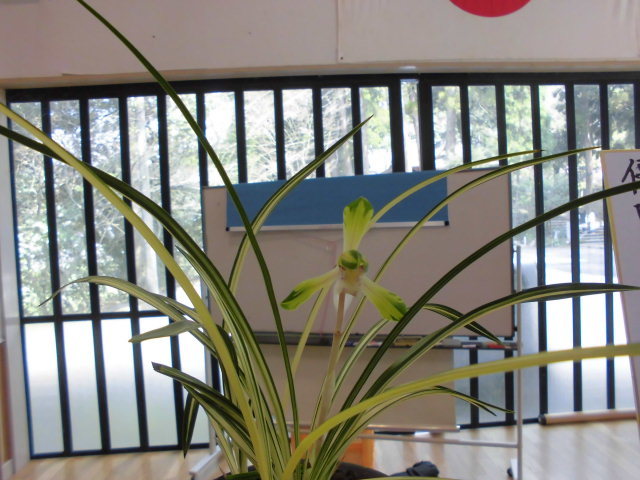 f0318967_23391346.jpg