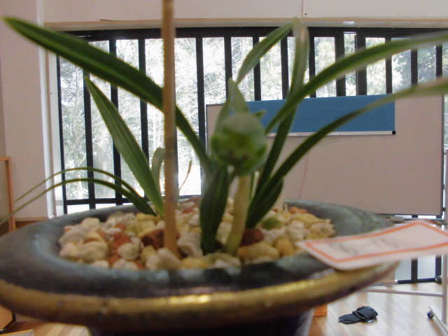 f0318967_23393125.jpg