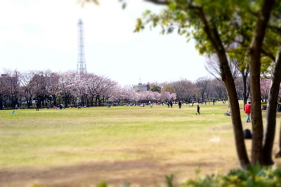 a0198883_22433820.jpg