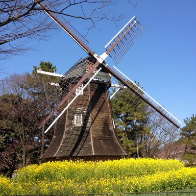 d0021786_2146852.jpg
