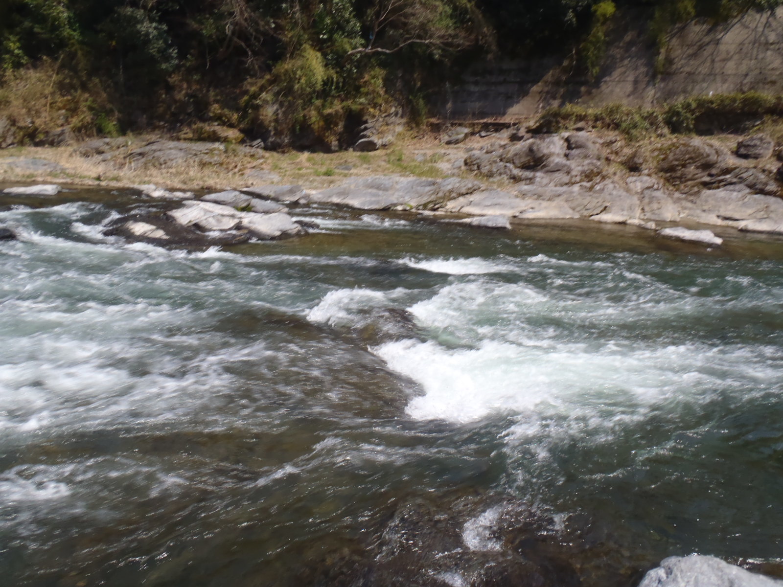b0139489_20293922.jpg