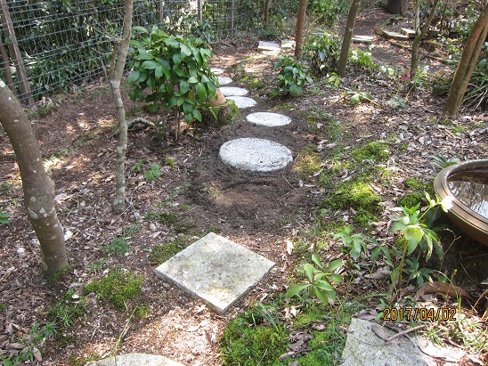 f0106692_1258509.jpg