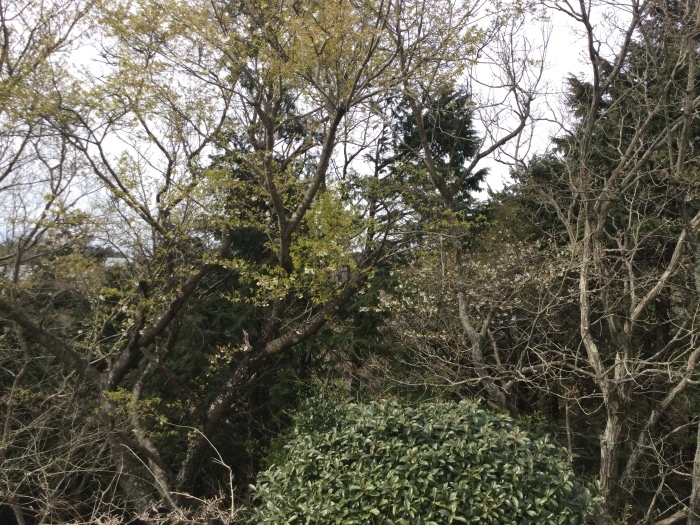 f0268294_09543958.jpg