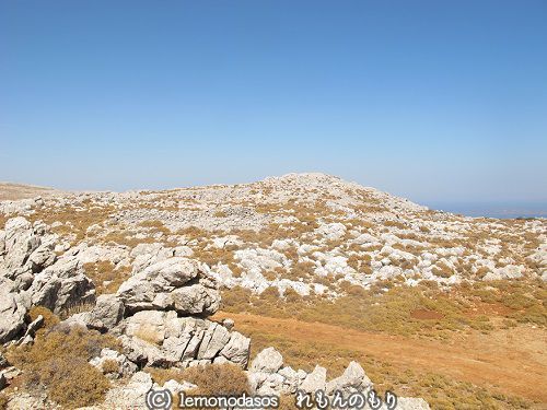 c0010496_18462097.jpg