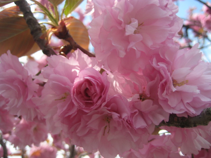 f0201297_08363930.jpg