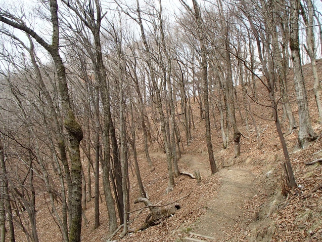b0039898_8362830.jpg