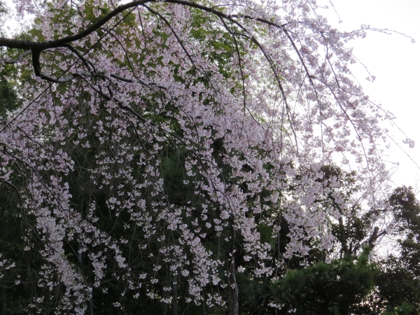 f0033598_1733165.jpg