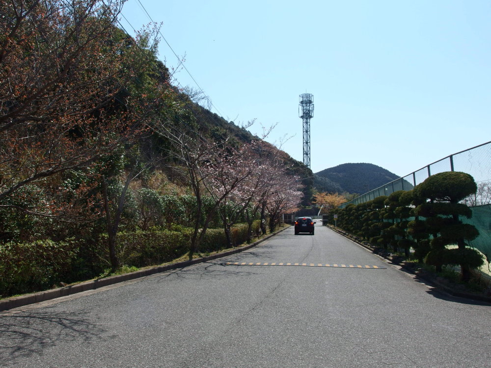 b0165802_20494310.jpg
