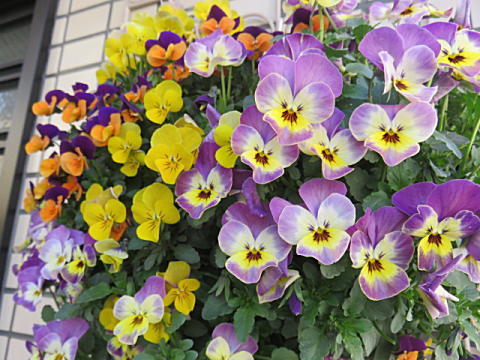 d0046702_15421178.jpg