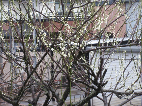 a0203003_21355375.jpg