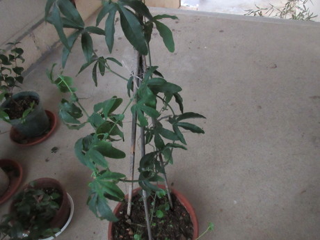 a0203003_2136213.jpg