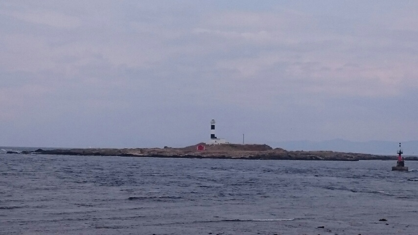 d0149105_12442269.jpg