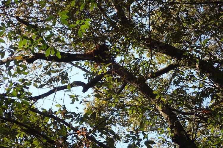 d0272107_20174800.jpg